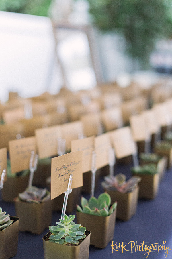 Events by special moments – tammy waterman- master wedding planner – Tampa wedding planner – most asked wedding planning questions- escort cards with succulents