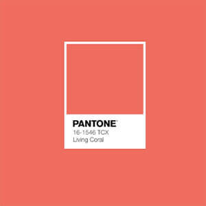 Pantone Color of the Year 2019 - wedding trends