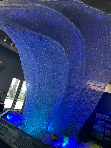 St Pete Pier - Tampa Bay Watch - Tampa Bay Watch Discovery Center - A One Second Wave of Plastic - a wave of plastic bottles