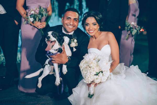 bride and groom stopped for some photos with their dog - incorporating your dog in your wedding day