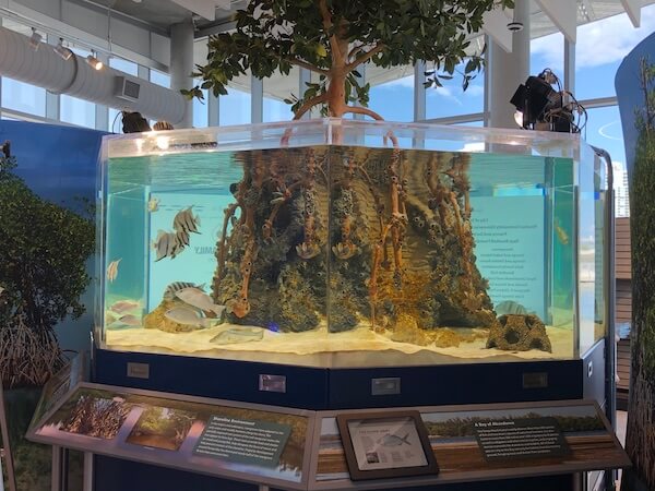 St Pete Pier - Tampa Bay Watch - Tampa Bay Watch Discovery Center - interactive display of local aquatic species