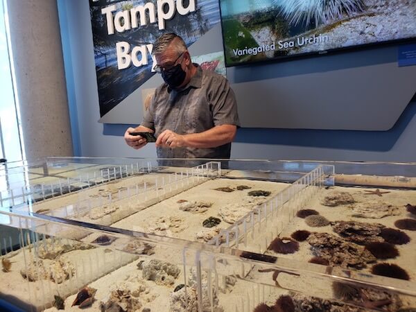 St Pete Pier - Tampa Bay Watch - interactive exhibits - tanks of local aquatic life - Mark Kingsdorf