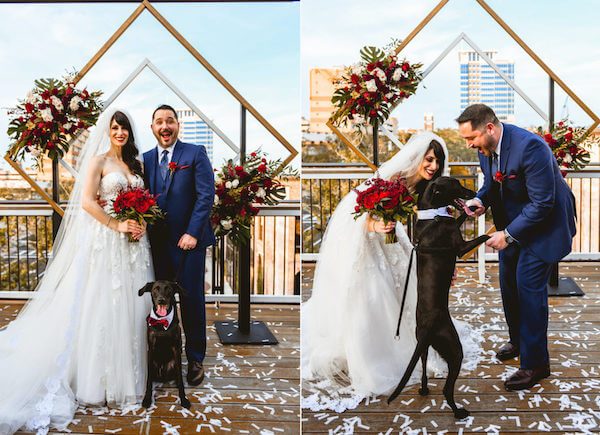 bride and groom posing for photos with their puppy after their downtown St Pete Rooftop wedding