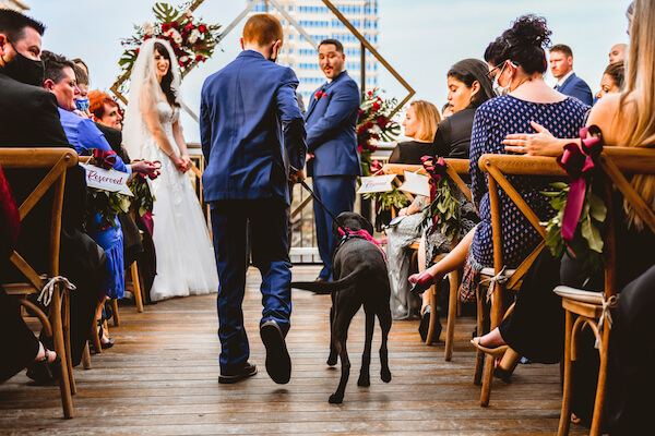 Couple watching as their puppy is escorted down the aisle of their St Pete rooftop wedding ceremony