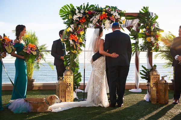 bride and groom exchanging wedding vows under a cuppa of bright tropical colors as their dog lays quietly by watching