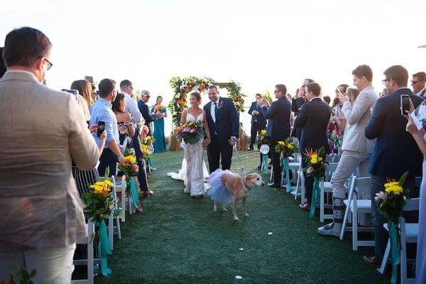 bride and groom with their dog at the end of their wedding ceremony