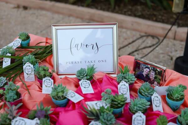 Succulent wedding favors for a garden wedding