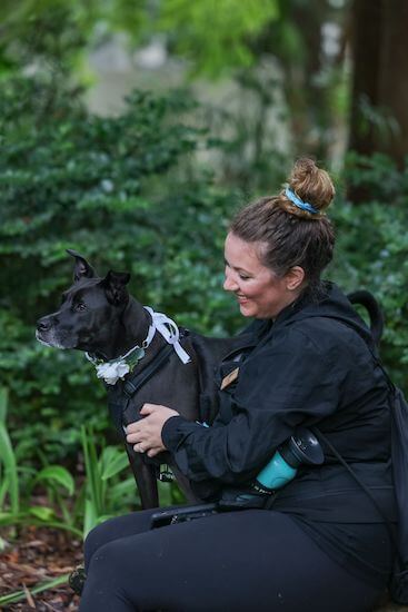 Fairy Tail Pet Care with a Tampa couple's dog waiting to make his entrance