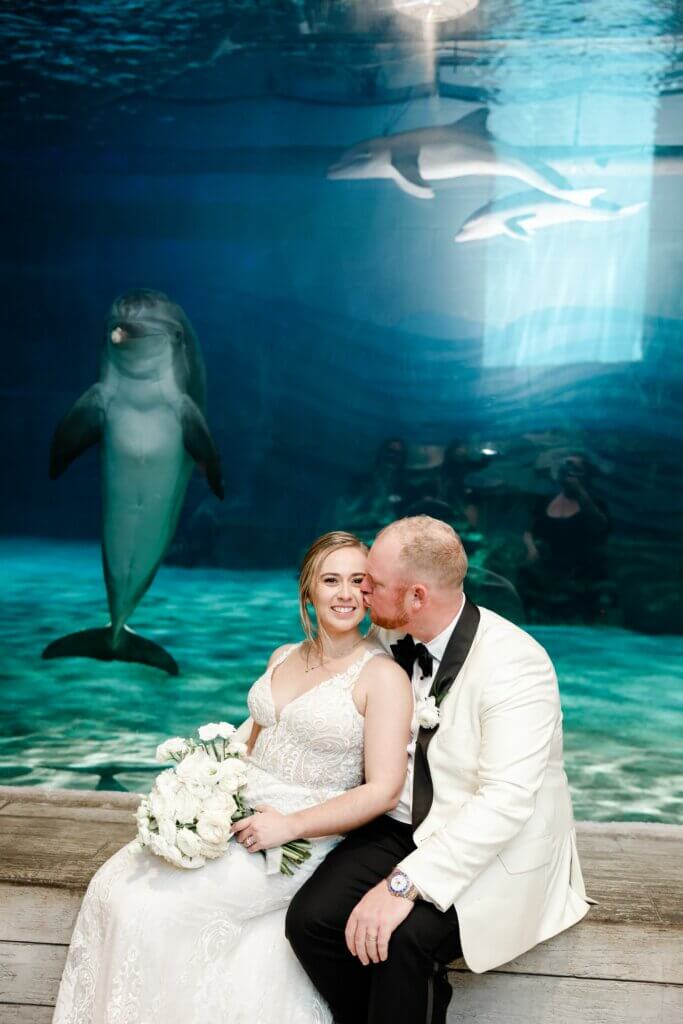 clearwater marine aquarium photo of bride & groom by window of wonder with dolphin