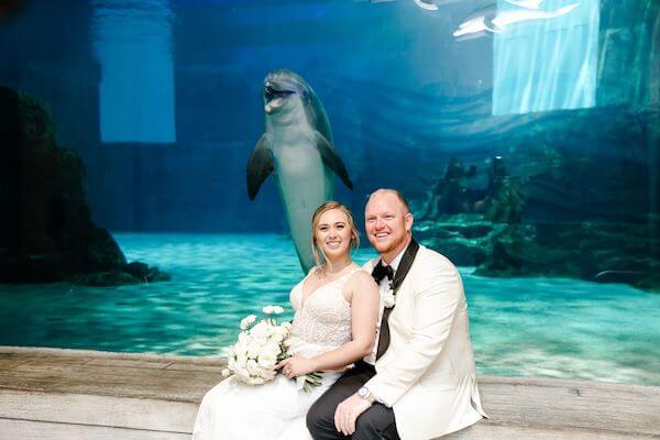 Bride, groom and dolphin wedding crasher at a Clearwater Marine Aquarium wedding