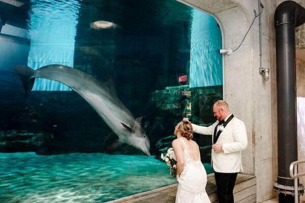 Bride and groom watching a dolphin swim behind them at the Clearwater m<arine Aquarium