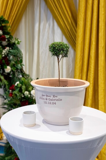 A Tree Planting Ceremony for a Clearwater wedding.