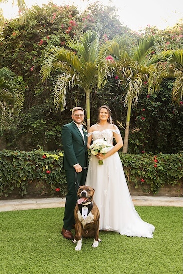 Wedding portraits at Sunken Gardens in St. Petersburg, Florida.