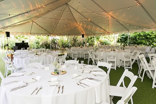 A tnted wedding reception at Sunken Gardens in St. Petersburg, Florida.