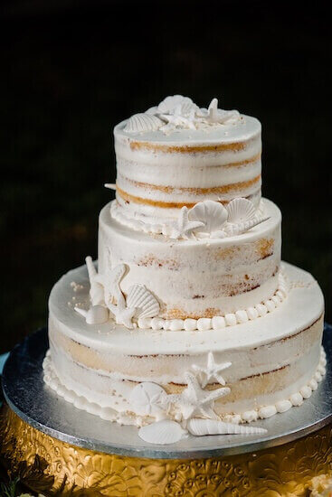 semi naked wedding cake with chocolate sea shells for a florida wedding.